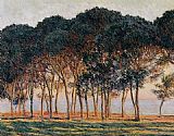 Trees Canvas Paintings - Under the Pine Trees at the End of the Day